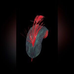 Vinatge Mid Centry T. Rubien Feather Hat